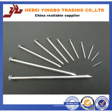 High Quality Common Nail From Factory